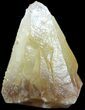 Golden, Dogtooth Calcite Crystal - Morocco #50178-1